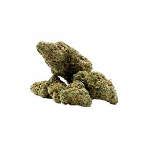 Alien OG Strain