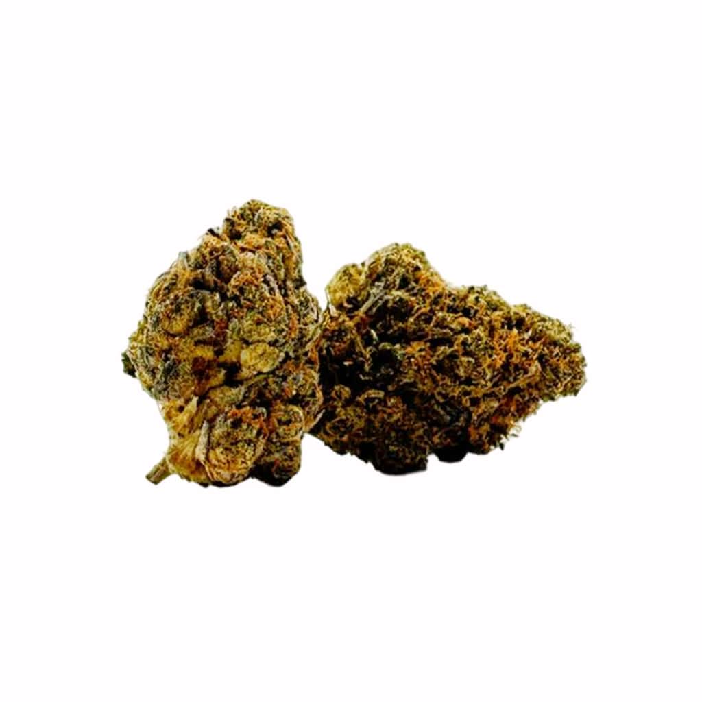 Black Tuna Strain