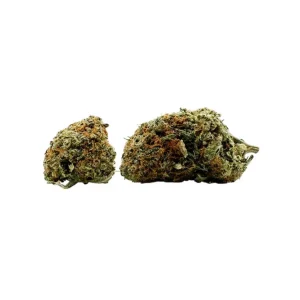 Grand Daddy Purple Strain
